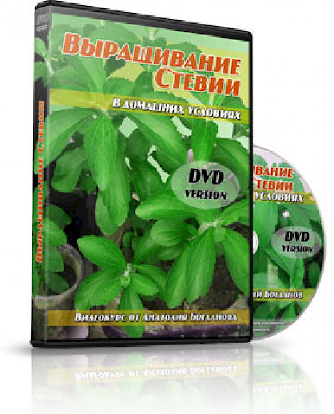 Мультимедийный курс "Выращивание стевии в домашних условиях"